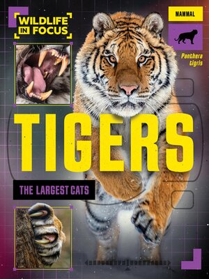 cover image of Tigers